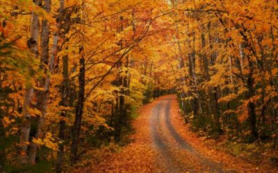 Why a Life Plan is a strong foundation for your leadership journey