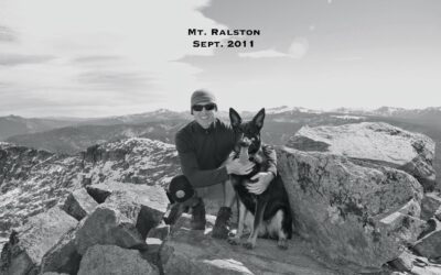 Life Lessons From My German Shepherd